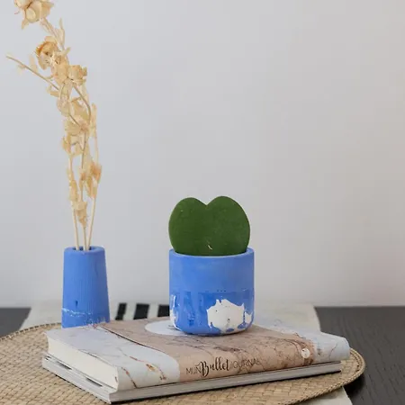 아파트 The Fluffy Rooster, #feelslikehome *